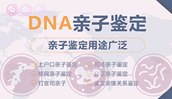 宁夏DNA亲子鉴定哪家机构最好，宁夏亲子鉴定需要什么材料和流程