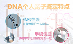 宁夏个人亲子鉴定办理流程指南，宁夏匿名亲子鉴定收费明细