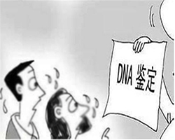 宁夏司法DNA鉴定需要如何做，宁夏司法亲子鉴定机构地址电话查询