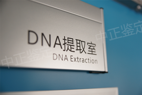 宁夏专业DNA亲子鉴定医院,宁夏第二人民医院DNA亲子鉴定条件和材料 宁夏专业DNA亲子鉴定医院,宁夏第二人民医院DNA亲子鉴定条件和材料