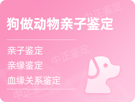 宁夏狗做动物亲子鉴定