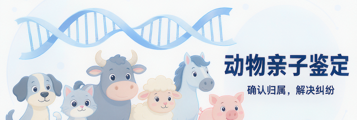 办理安排 办理安排