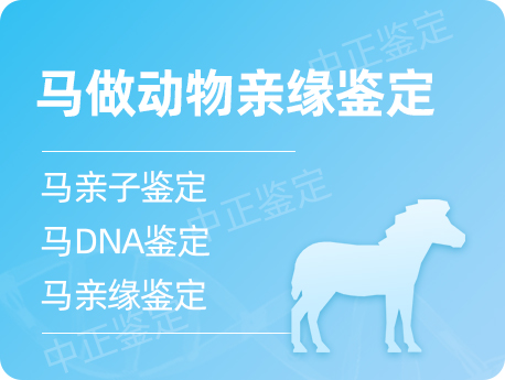宁夏马做动物亲缘鉴定