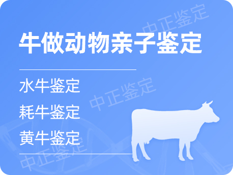 宁夏牛做动物亲子鉴定