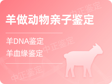宁夏羊做动物亲缘鉴定