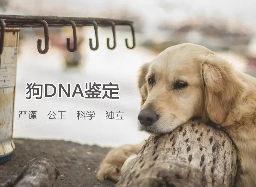 办理三步 办理三步
