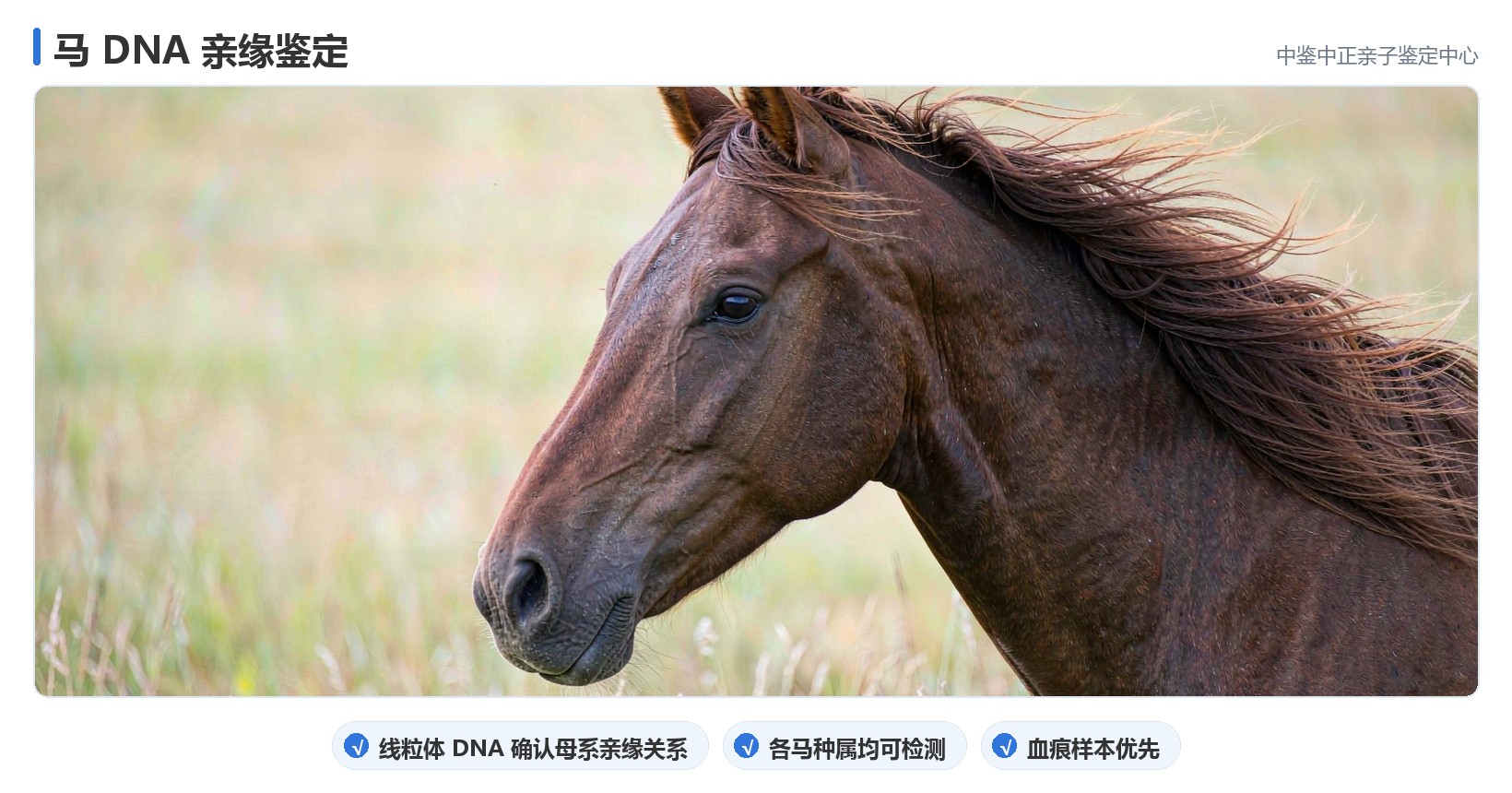 办理四步