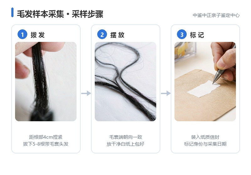 毛发样本采集方法