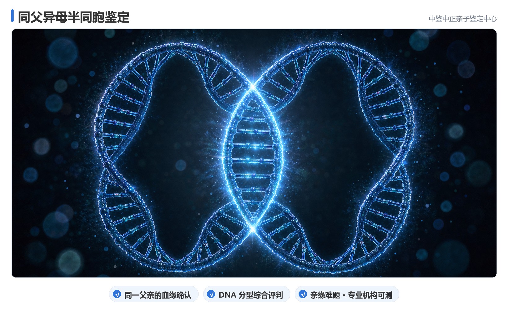 检测组合速查
