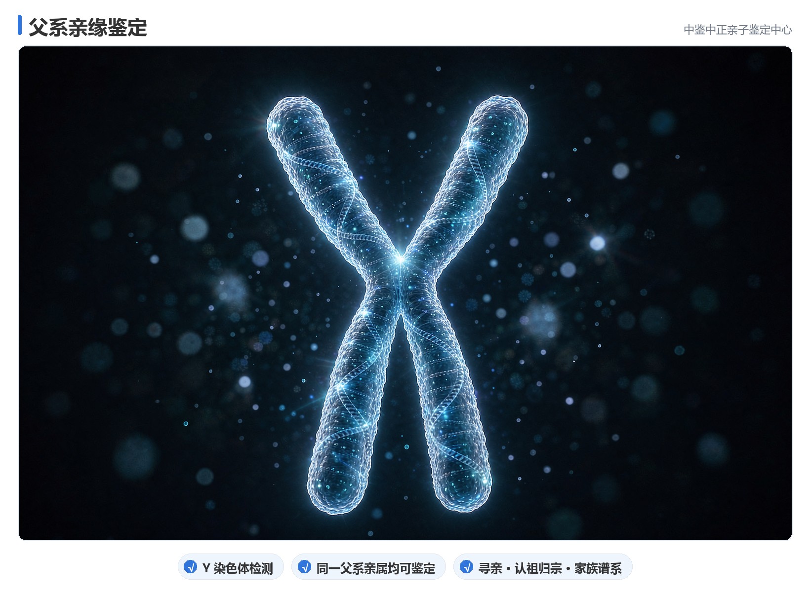 办理三步
