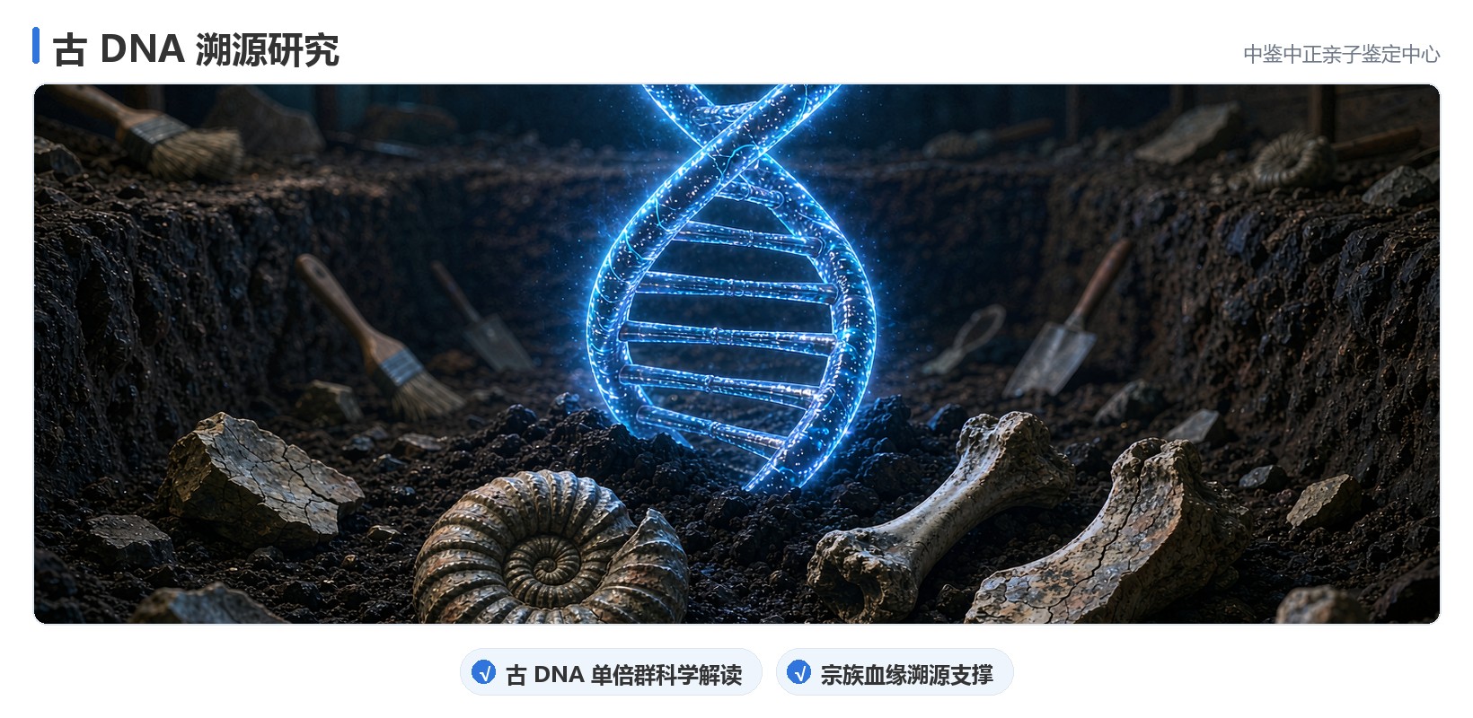 可用样本的清单
