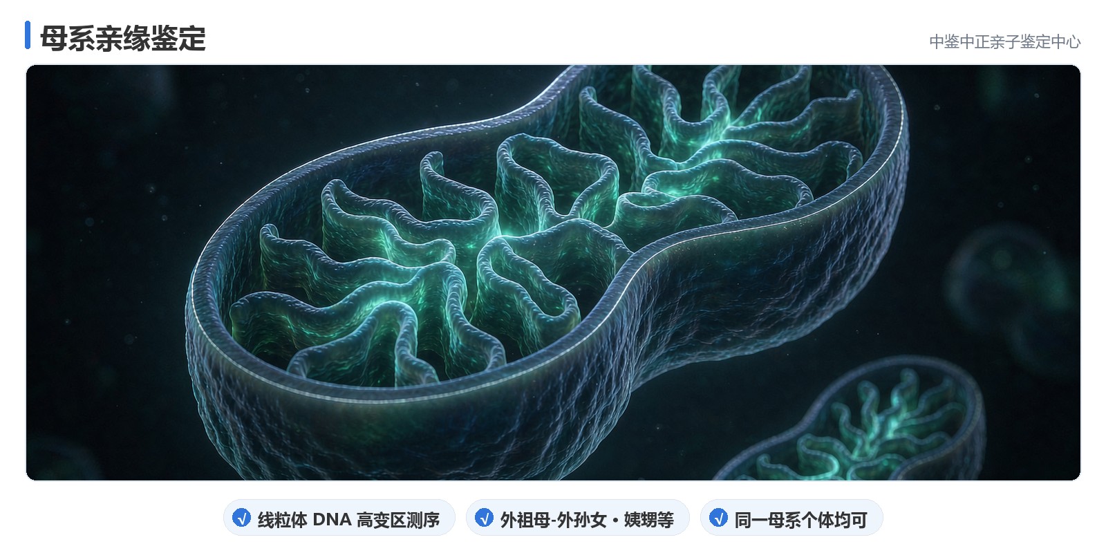 检测原理与判定边界
