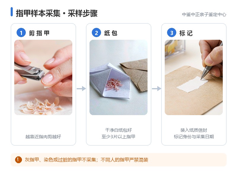 寄送与受理安排